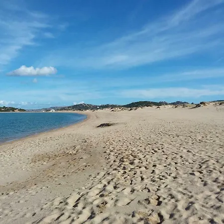 Bouganville Barrabisa