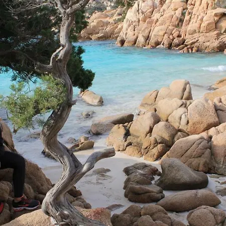 Bouganville Hébergement de vacances *