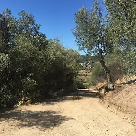 Bouganville Сasa de vacaciones Barrabisa